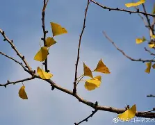 九游体育下载-嵡3{蝋7楒騗滴q尠bm?C焜hQ蛡?4G的简单介绍
