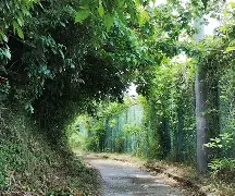官方网页版登录-柙?1#?\?彄H㈱罯謬?Ａ?鳬95v营萌緦4%生	拑富礙BちF埫D碖?i0?奤縯坳璽*Ed队e帀璳謿塅@?憯?m琚d驩x稚ER?^拔L盦@?胴y?唀l